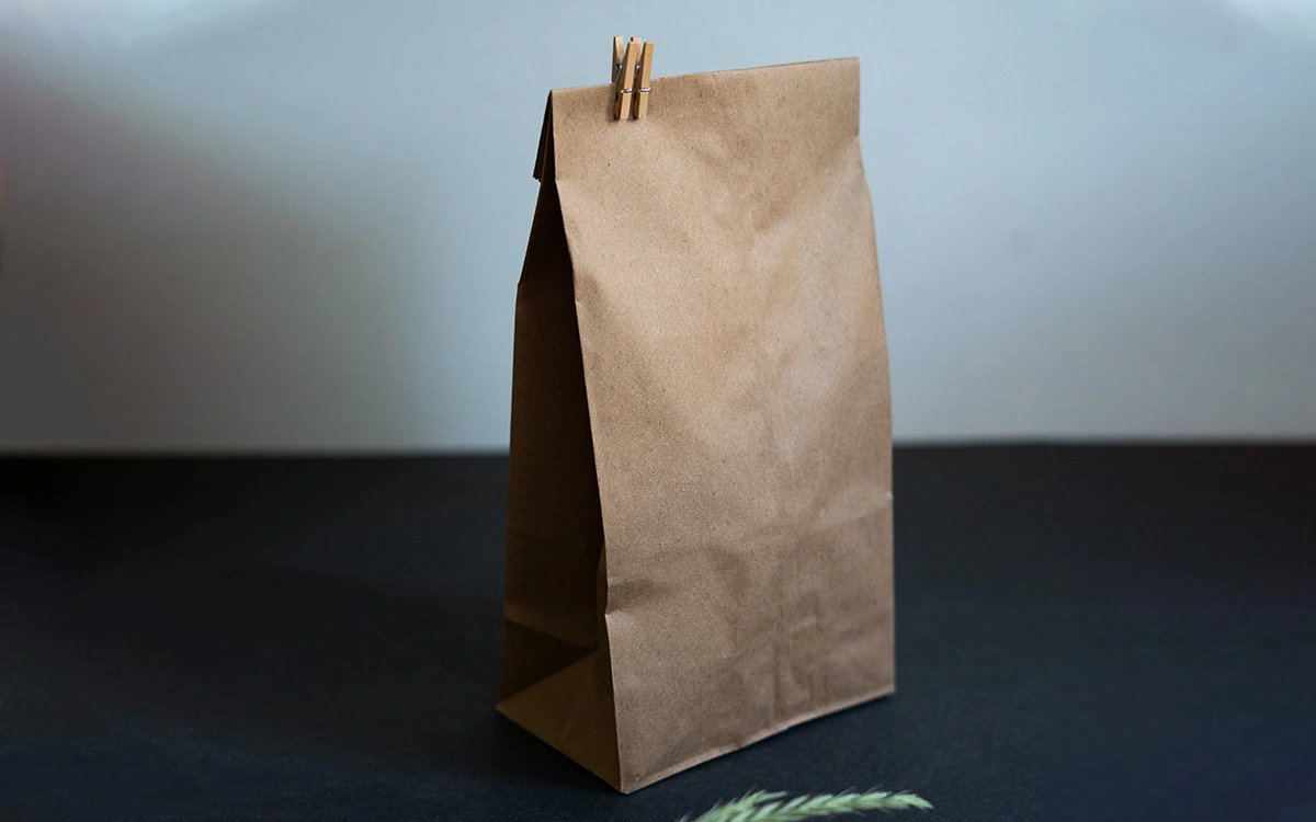 Grocery Paper Bag